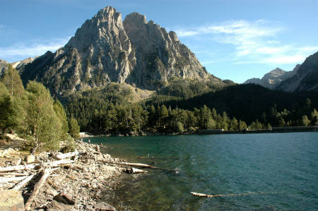 Biodiversidad en Aigüestortes y Estany de Sant Maurici