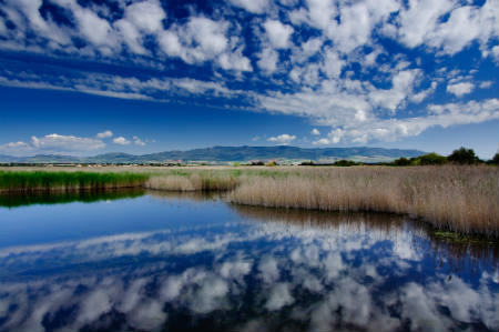 Las Tablas de Daimiel