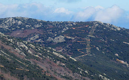 Paisaje de Cabañeros