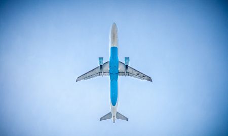 Viajar con mascotas